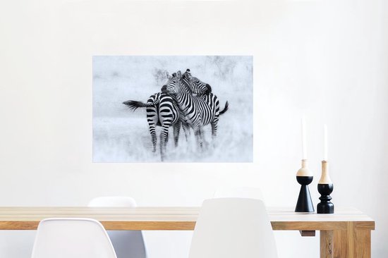 Affiche Zèbres câlins - 90x60 cm