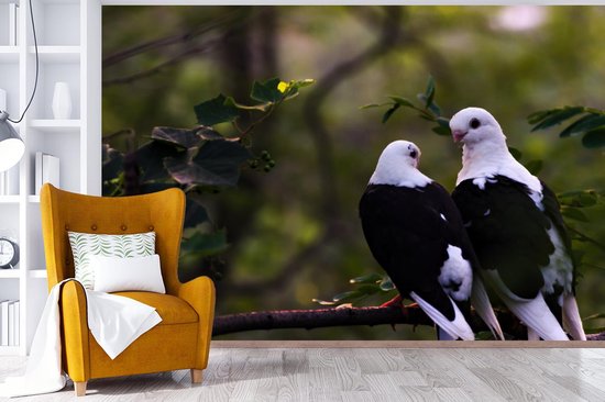 Papier peint photo peint vinyle - Deux oiseaux sur une branche largeur 360 cm x hauteur 240 cm - Tirage photo sur papier peint (disponible en 7 tailles)