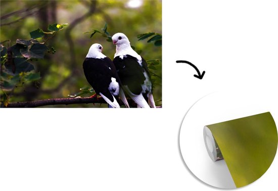 Papier peint photo peint vinyle - Deux oiseaux sur une branche largeur 360 cm x hauteur 240 cm - Tirage photo sur papier peint (disponible en 7 tailles)