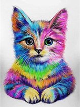 Diamond Painting World - Kleurrijke kitten – 30x40cm - Diamond painting - Diamond painting pakket – volledig bedekt – Volwassenen
