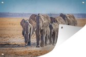 Muurdecoratie Olifant - Zand - Afrika - 180x120 cm - Tuinposter - Tuindoek - Buitenposter