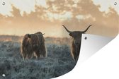Tuinposters buiten Schotse Hooglander - Dieren - Horens - 90x60 cm - Tuindoek - Buitenposter