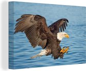Canvas Schilderij Vogel - Amerikaanse Zeearend - Water - Vliegt - Adelaar - 30x20 cm - Wanddecoratie