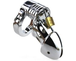 Metalen Peniskooi Modula - Zilver - Kuisheidskooi Metaal - Chastity