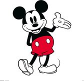 DISNEY MICKEY MOUSE CLASSIC - Art Collector Print 30x30 cm