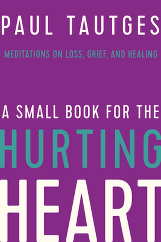 A Small Book for the Hurting Heart - cover