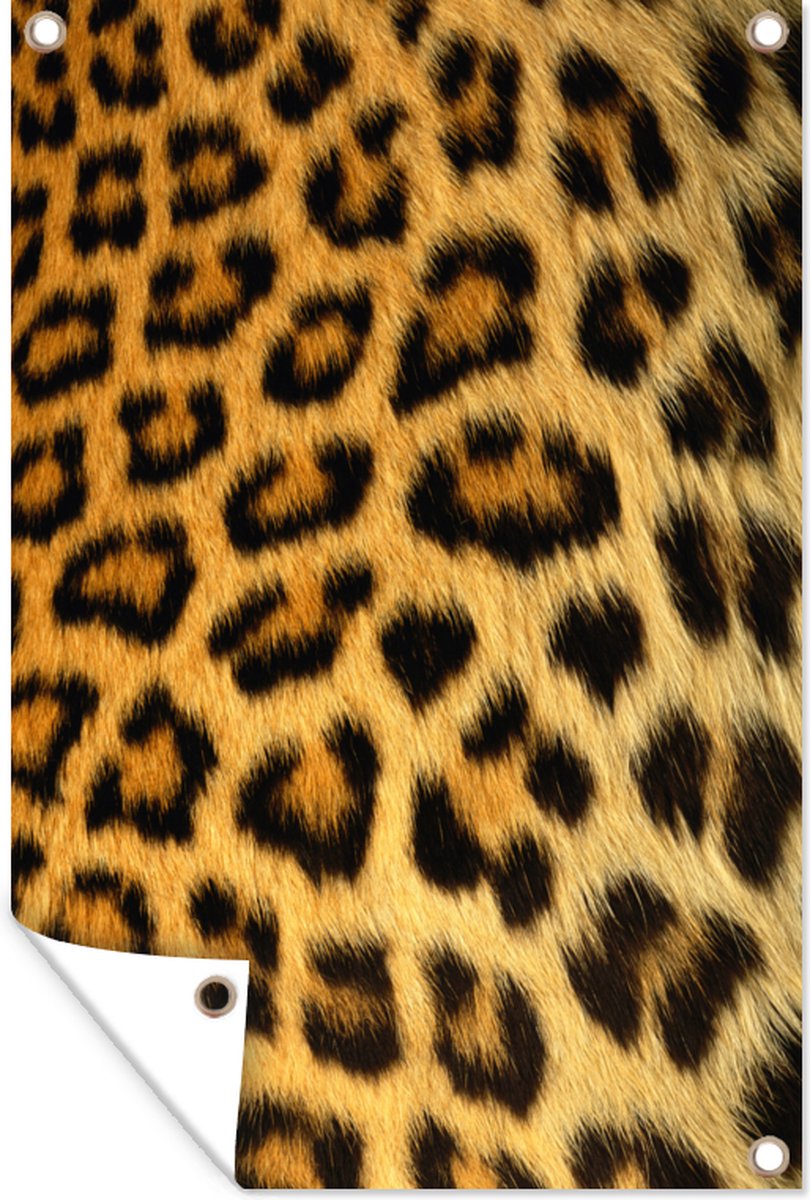 Motif de fourrure d'animal jaune imprimé léopard doré' Tapis de