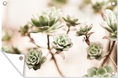 Muurdecoratie Bloemen - Vetplant - Takken - 180x120 cm - Tuinposter - Tuindoek - Buitenposter