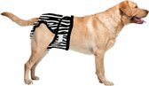 Loopsheidbroekje hond - zebra - maat XL - voor grote honden - herbruikbaar - hondenbroekje - hondenluier - loopsheid - ongesteldheid - voorkomt ongewenste zwangerschappen bij teefj