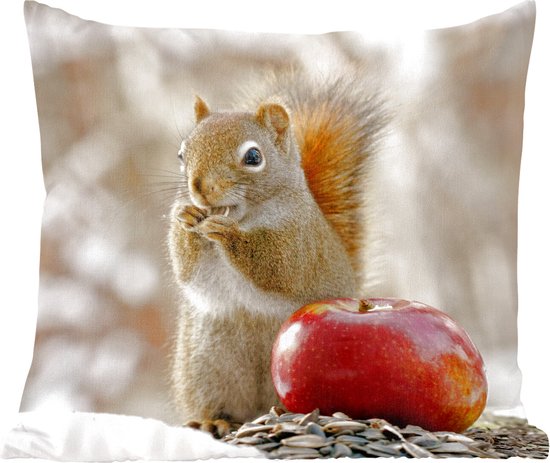 Coussins Coussins décoratifs - Coussin - Un écureuil appréciant sa nourriture en hiver - 60x60 cm - Coussin en coton