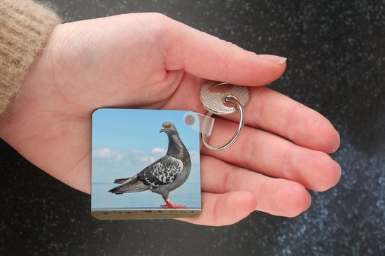 Porte-clés Duif - Une colombe grise devant un ciel bleu Porte-clés plastique - Porte-clés carré avec photo
