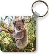 Sleutelhanger - Koala - Bladeren - Takken - Kinderen - Jongens - Meiden - Plastic - Rond - Uitdeelcadeautjes