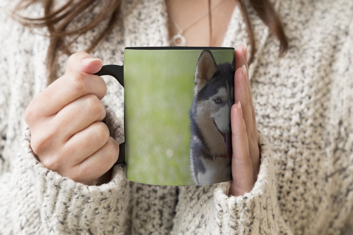 Magische Mok - Foto op Warmte Mokken - Koffiemok - Husky in het park - Magic Mok - Beker - 350 ML - Theemok