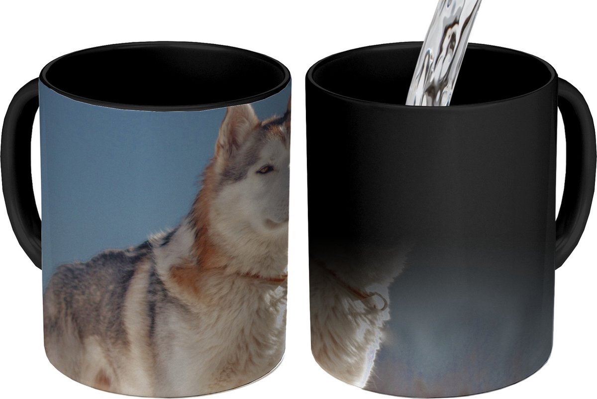 Magische Mok - Foto op Warmte Mokken - Koffiemok - Husky in de sneeuw - Magic Mok - Beker - 350 ML - Theemok
