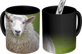 Magische Mok - Foto op Warmte Mokken - Koffiemok - Schaap - Gras - Boerderijdier - Magic Mok - Beker - 350 ML - Theemok