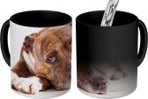 Magische Mok - Foto op Warmte Mok - hond fotoprint - 350 ML