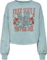 Jacqueline de Yong Trui Jdyamy Life L/s Rock Sweat Jrs 15241531 Tourmaline/free Souls Dames Maat - M