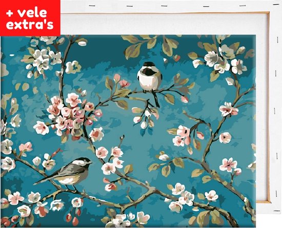 Schilderen op nummer volwassenen met houten frame – Vogeltjes en