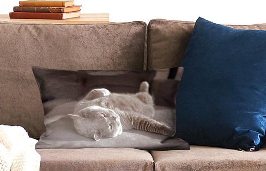 Sierkussen' intérieur Animal Day - Chat sur une chaise grise - 50x30 cm - Coussin intérieur rectangulaire en coton