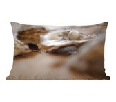 Sierkussen Coquilles pour l'intérieur - Perle dans la coquille d'une huître - 50x30 cm - Coussin intérieur rectangulaire en coton