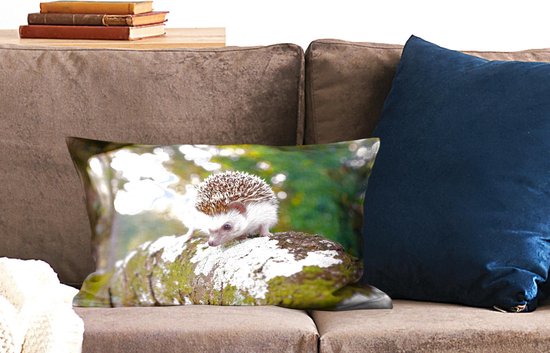 Sierkussen Hérisson pour l'intérieur - Hérisson marche sur une branche - 50x30 cm - Coussin intérieur rectangulaire en coton