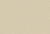HookedOnWalls - Nomadia 38556 - 0,53 cm x 10,05 m