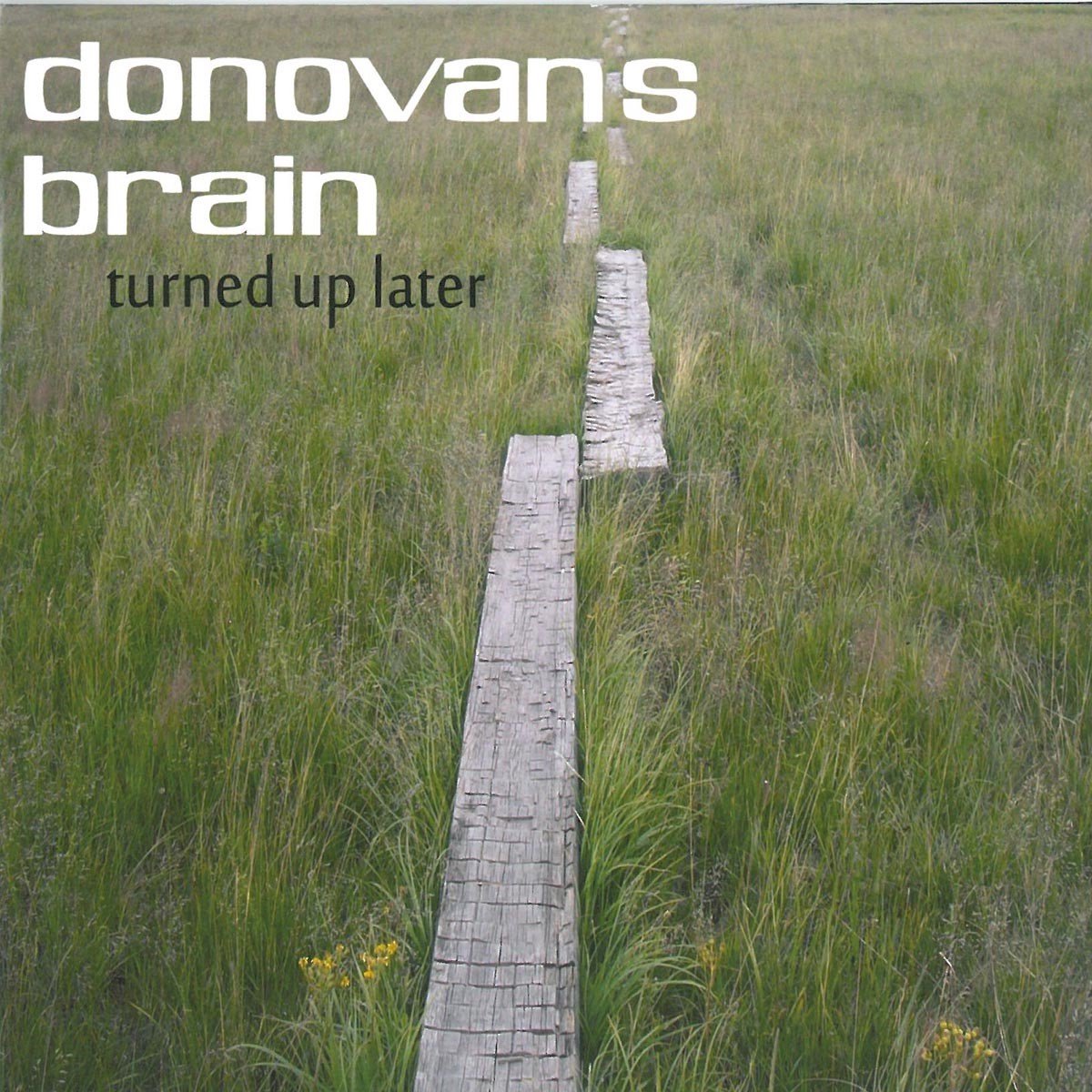 Donovan's Brain - Turned Up Later (CD | 2 LP)