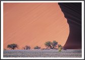 Poster van een woestijn in Namibië - 40x50 cm