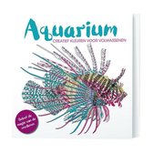 Creative colors  -   Aquarium