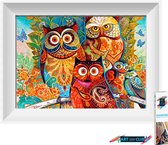 Artstudioclub®  Diamond painting volwassenen Gekleurde uil 20 x 25 cm