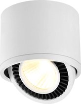 BUDBUDDY - 15 W LED Opbouwspotlamp - Draaibare Plafondlamp - 3000 K COB Warm Wit LED - Opbouwplafondlamp Aluminium - Zwart - Energieklasse A+