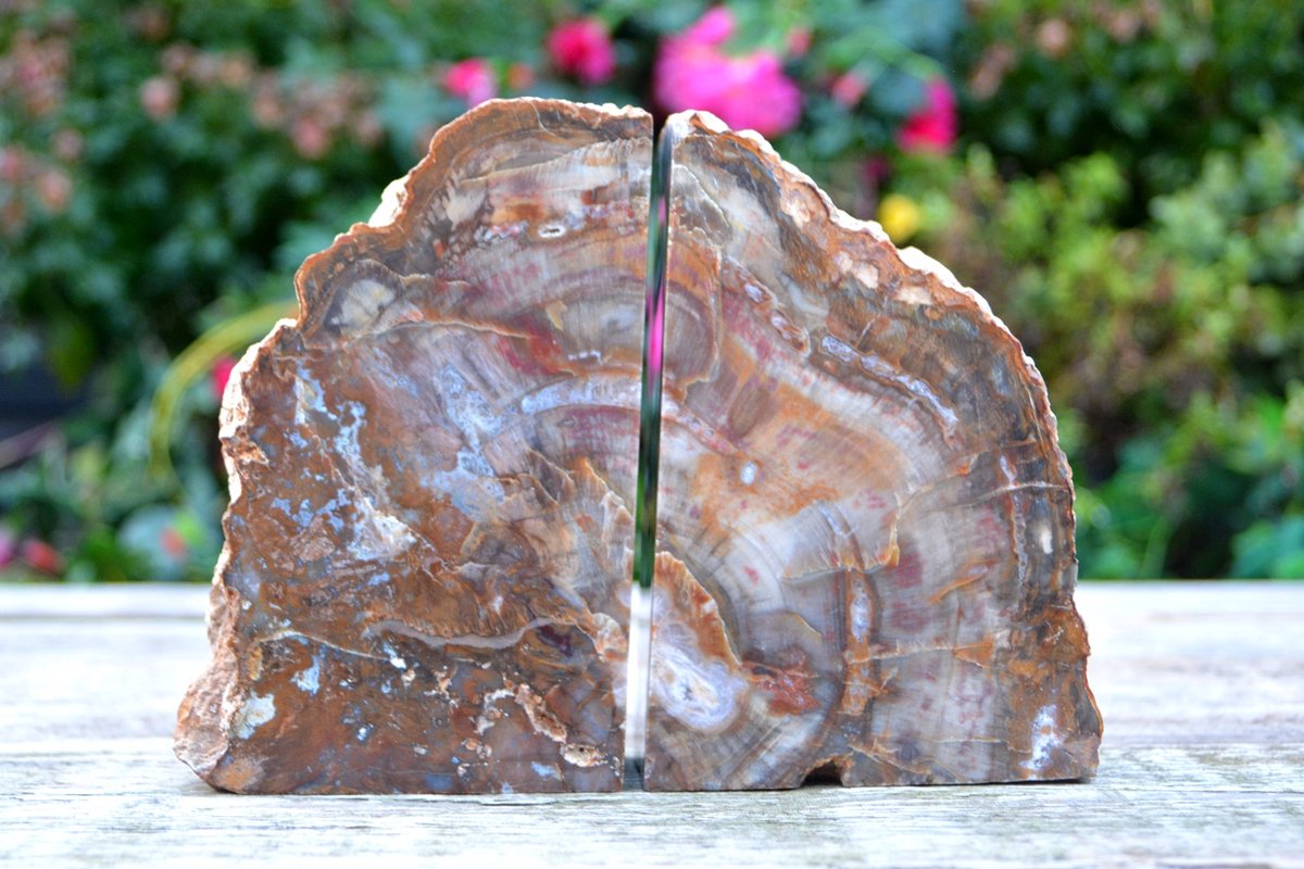 Decoratief Versteend Hout Boekensteunen - 2938 gram