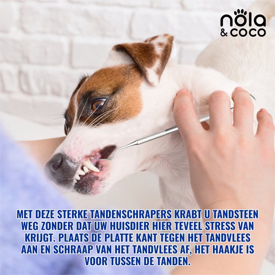 Nola & Coco Honden Tandsteen Verwijderaar Set - Effectieve Reiniging Voor Tandvleesproblemen - Met Bewaardoosje - Nola & Coco