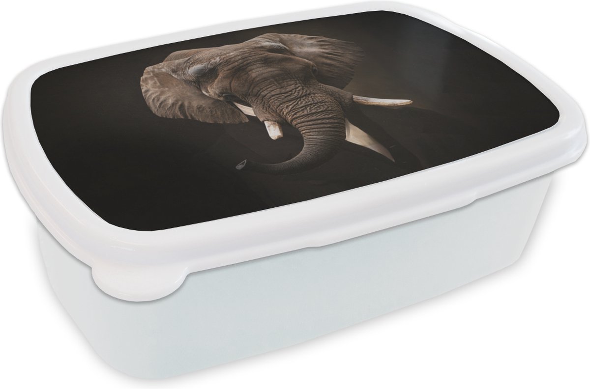 Broodtrommel Wit - Lunchbox - Brooddoos - Oude meesters - Olifant - Pak - 18x12x6 cm - Volwassenen