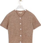 JOSH V   SAAR Vest Bruin - Maat XL