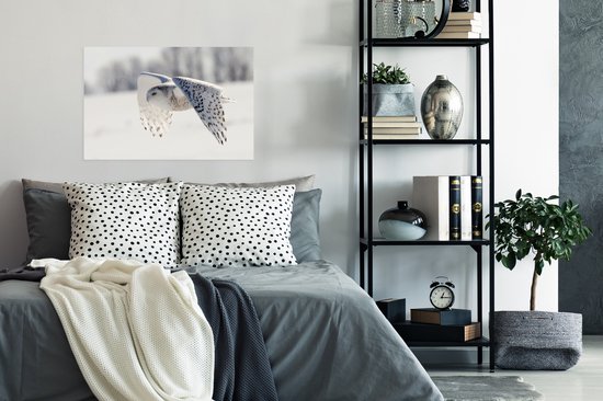 Snowy Owl survole un paysage d'hiver Poster 60x40 cm - Tirage photo sur Poster (décoration murale salon / chambre)