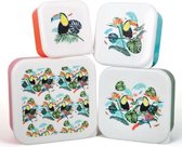 Tropical Lunch Box Set