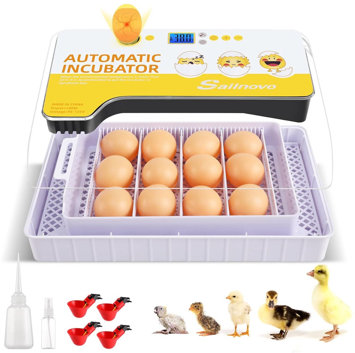 12-Eier Incubator voor Thuisgebruik