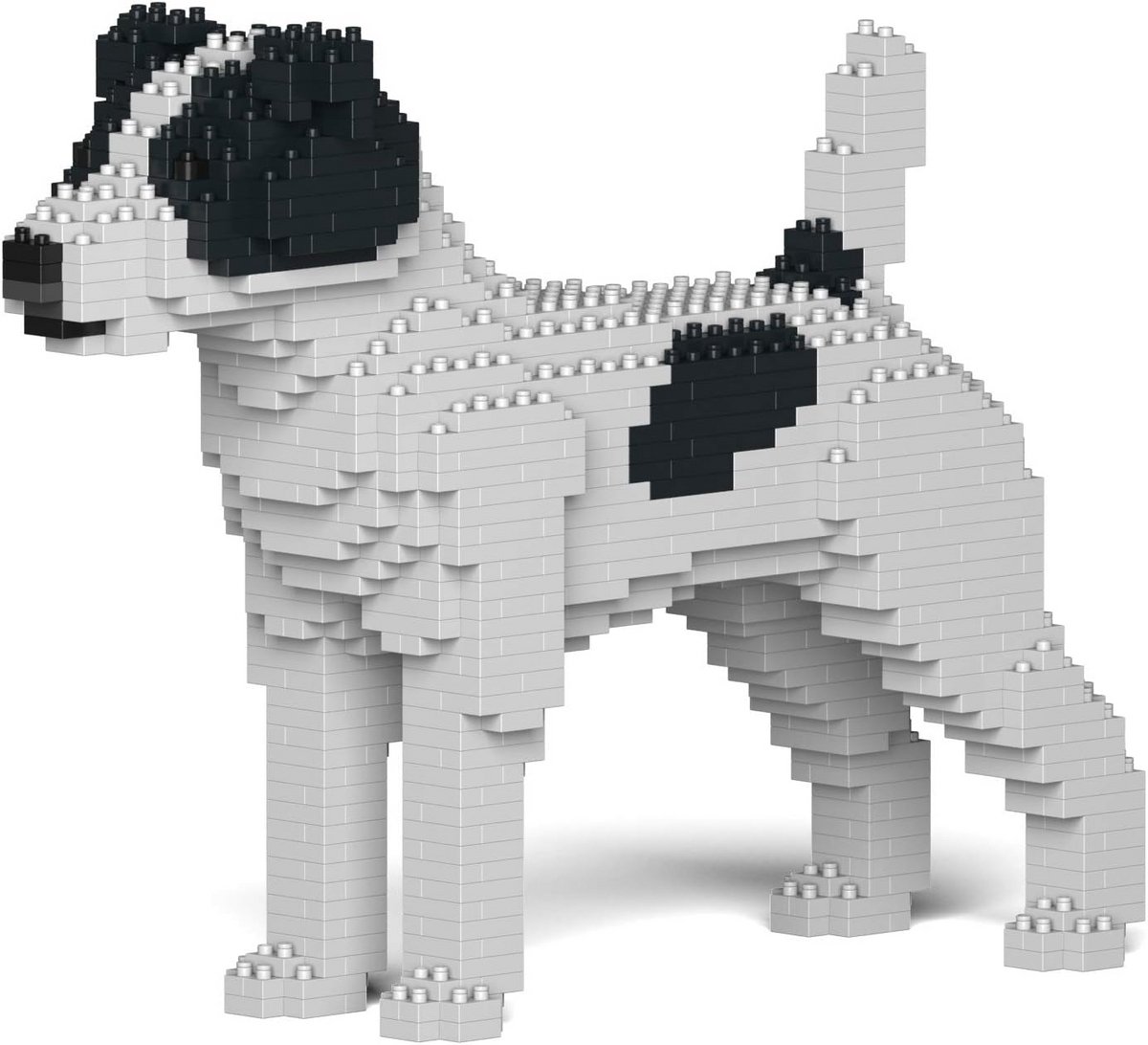 3D Bouwpakket Jack Russell Terriër Model - Realistisch Blokken Speelgoed