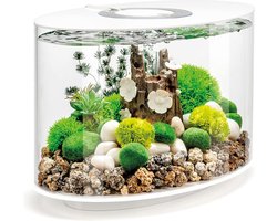 Compact LED Aquarium Set 15 Liter - Compleet Zoetwater Aquarium met Standaard