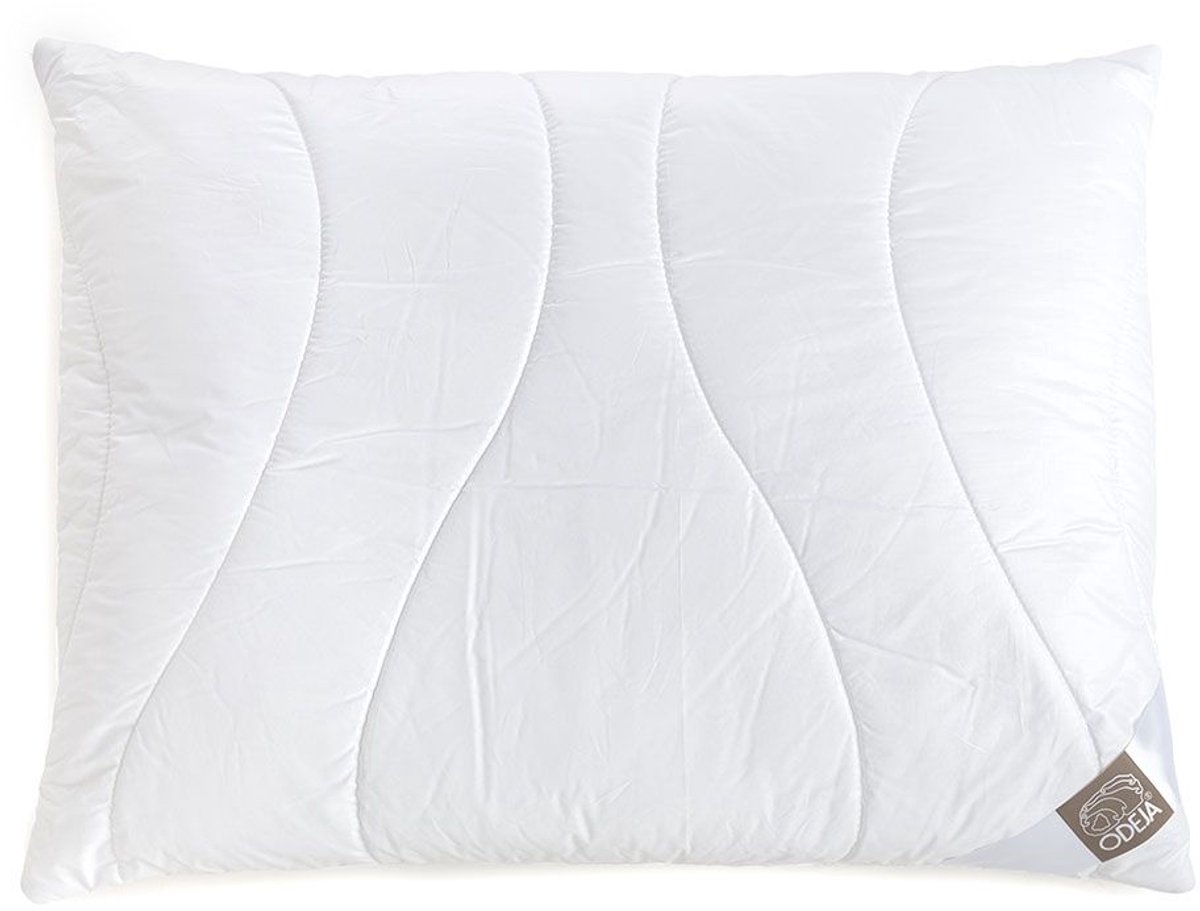 Dreamfil Soft Kussen - Silk Heaven - 50x60cm