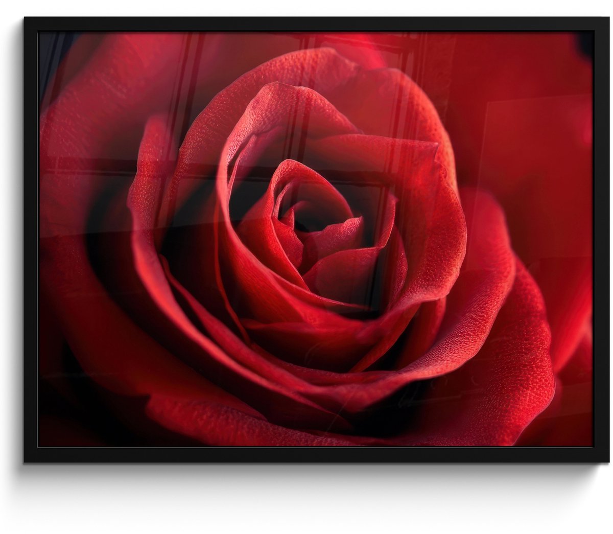 FrameYourWall Poster in lijst - Fotolijst 70x50 cm - Posters - Rood - Roos - Romantisch - Posterlijst zwart - Decoratie - Wanddecoratie woonkamer - Muurdecoratie slaapkamer