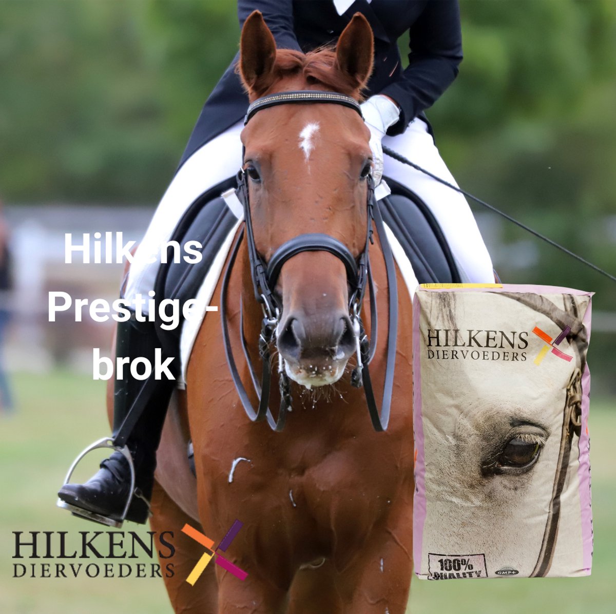 Prestige-brok