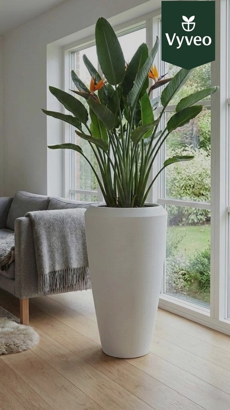 Vyveo - Vase Nalou - 55x86 - Goud metallic - Pot de fleurs pour intérieur et extérieur - Léger - Résistant aux chocs - Résistant au gel - Résistant aux UV