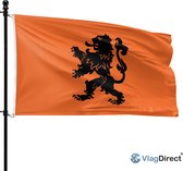 VlagDirect - Oranje Leeuw vlag - Oranje vlag - Oranje voetbal vlag - Nederlands Elftal vlag - Hollandse leeuw vlag - 150 x 225 cm - XL vlag.