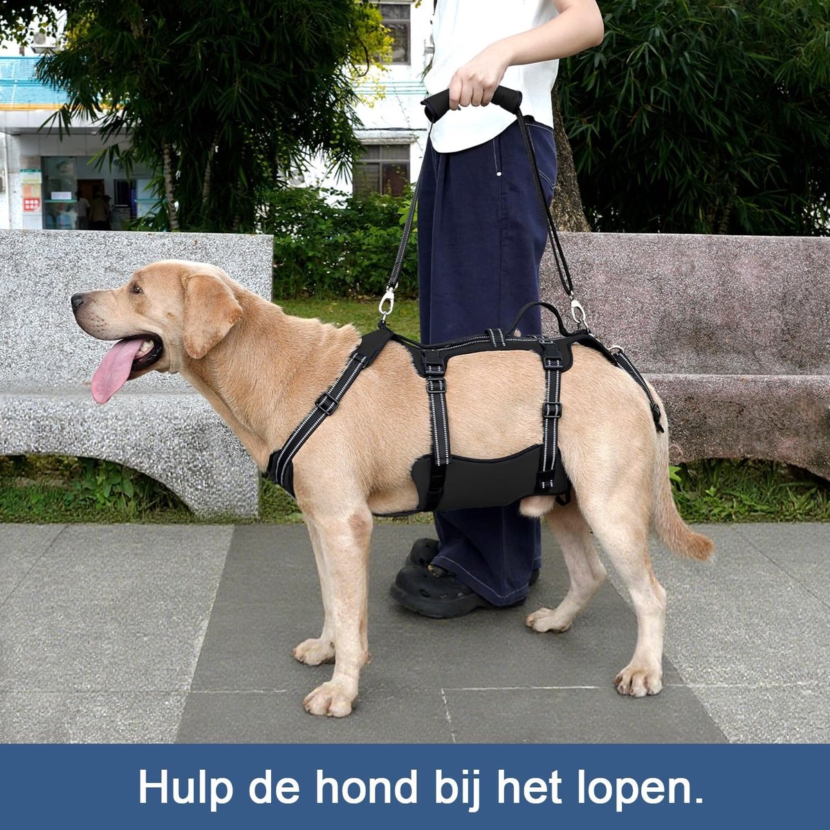 Hondenlift Tuig - Hondenondersteuning Vest - Revalidatie Honden - Volledig Lichaamsondersteuning - Verstelbaar Ademend - Zwart