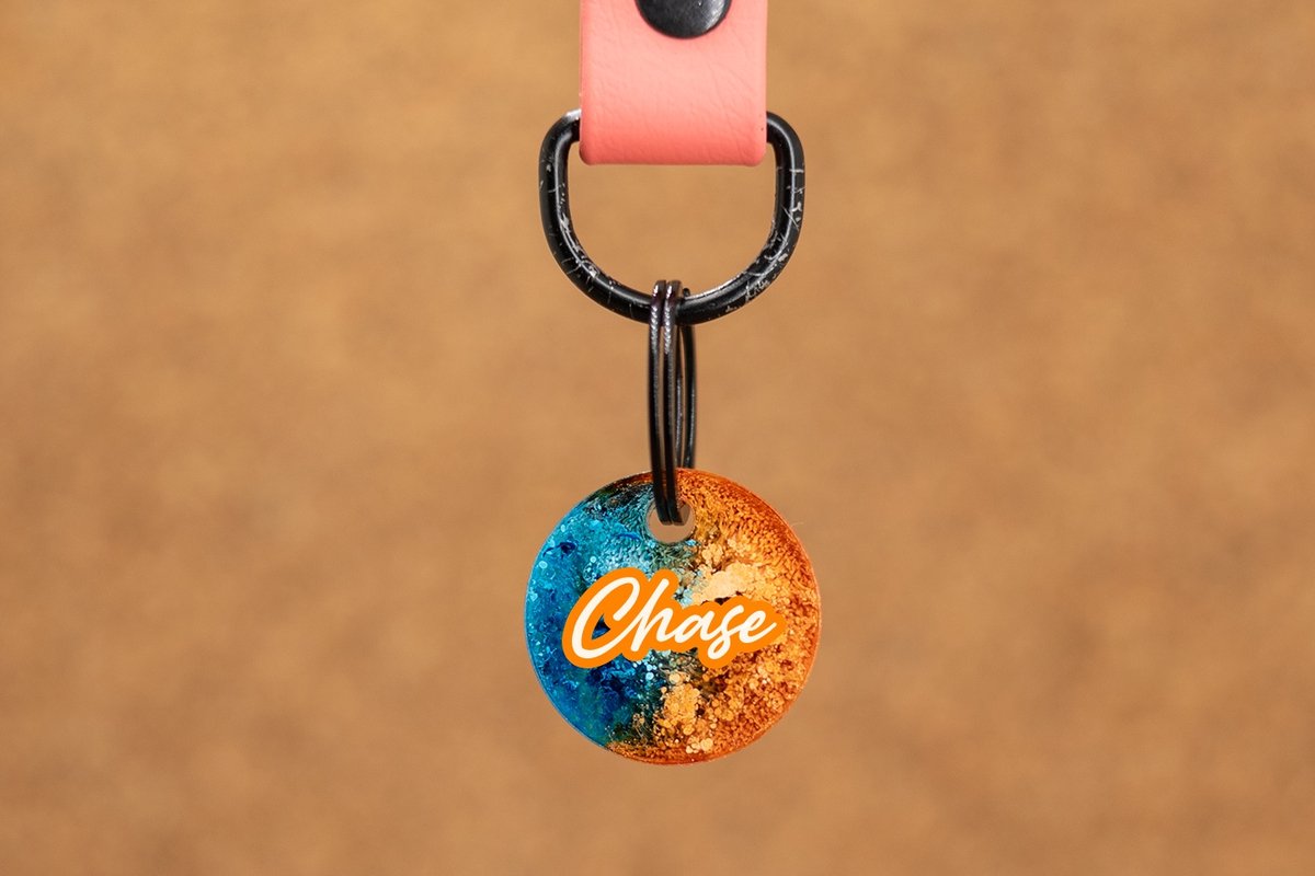 Crackerjack hondenpenning oranje/blauw - Gepersonaliseerd - Slijtvast - Moddervast - Uniek ontwerp