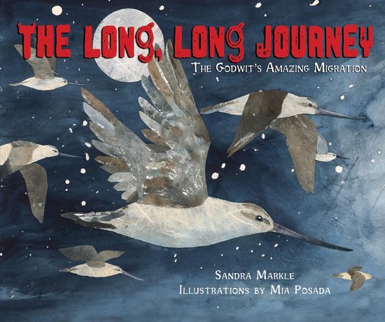 The Long, Long Journey - cover