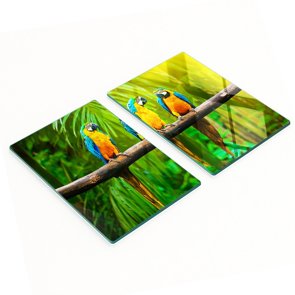 Geharde multifunctionele decoratieve glazen borden met papegaaientakmotief, 2x40x52 cm