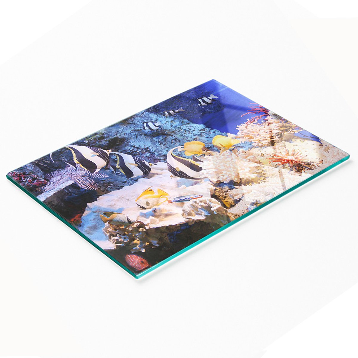 Decoratieve glazen snij- en serveerplank met koraalrifmotief, 80x52 cm